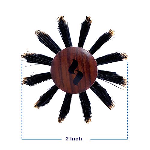 Spornette DeVille Boar Bristle Round Brush Set - Professional Hair Brushes Including 1.5, 2, and 2.5 inch Sizes - For Women, Men, & Kids - size: Set of 3 (1.5, 2, 2.5 Inch)