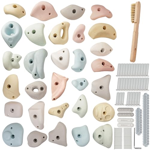 Premium Resin Rock Climbing Holds for All Ages, Large Training Rock Climbing Wall Grips Indoor/Outdoor, Rock-Like Texture Climbing Wall with Mounting Hardware - color: 30 Pcs
