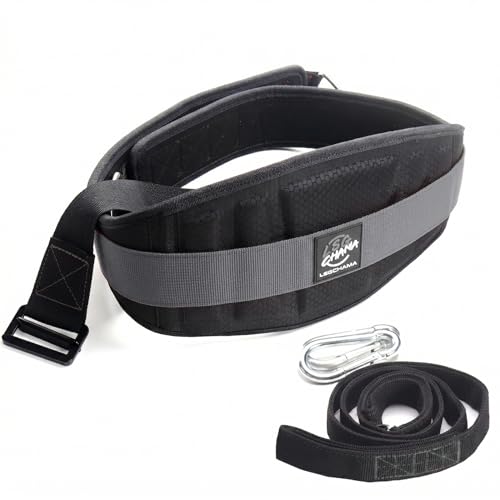 Heavy-Duty Belt for Belt Squats, Weight Training Rack Attachment, Squat Machine Accessory, Strength Training Equipment - color: Gray