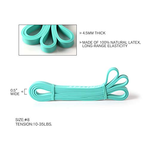 RitFit Pull Up Assist Band in Natural Latex for Stretching and Mobility | Resistance Band,Eco-Friendly Latex, Pull-Ups Powerlifting, Physical Therapy Rehab, Full-Body Training, Mobility Training - color: Aqua