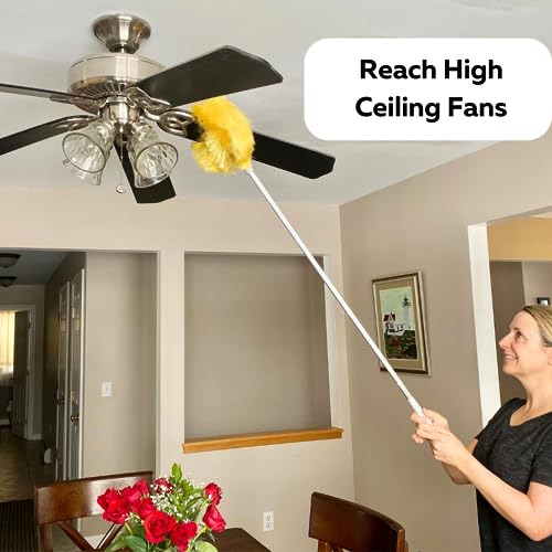 Evelots Ceiling Fan Blade Brush Cleaner - Long Extension Pole - Brush Both Sides at the Same Time - Scratch Resistant Microfiber Feather Cobweb Duster - Extra Long with Reach up to 9 Feet - style: 1 Unit - Up to 9 Feet Reach