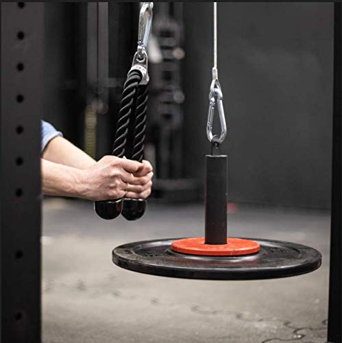 LFJ Weight Loading Pin with Carabiner fit 1 inch and 2 inch Olympic Weight Plate for Cable Pulley System LAT Pulldown - style: Olympic Plates Loading Pin