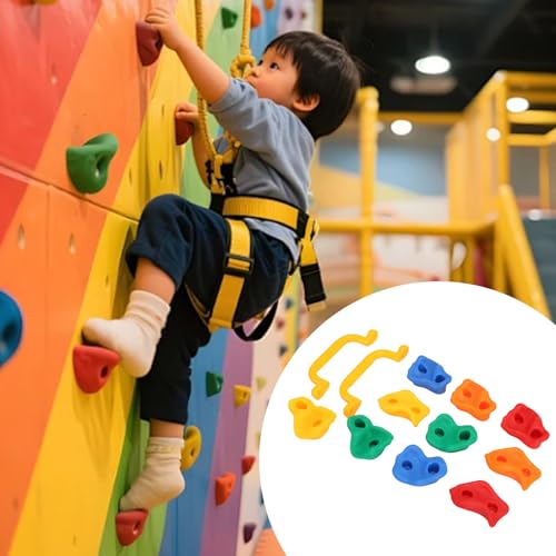 Rock Climbing Holds, Rock Wall Holds Climbing Grips Kit for Kids Indoor Outdoor, layground Play Set, Includes 2 Handles and Mounting Hardware