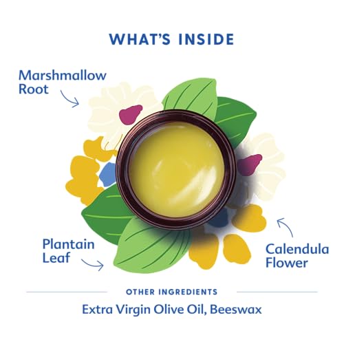 Motherlove Green Salve (1 oz) | Family-Friendly Outdoor Adventure Ointment to Soothe Skin -- USDA Organic