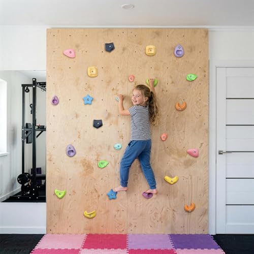 TOPNEW Climbing Holds for Kids, Rock Wall Holds with Hardware - Climbing Rocks for Indoor Outdoor Playground Climbing Wall (24 Pcs) - style: 24 Pcs