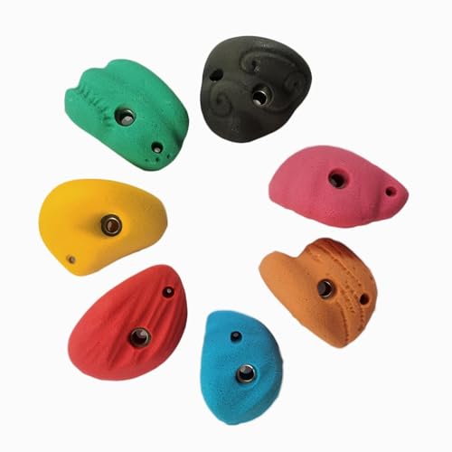 10 Pieces Rock Climbing Wall Holds Indoor Outdoor Climbing Grips Resin Material Easy Installation Textured Surface Suitable for Playground Home, with Back Nail Screw