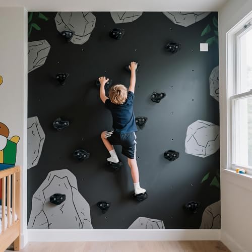 18PCS Climbing Holds for Kids,Large Climbing Holds for Play Set, Rock Wall Climbing Kit with Hardware for Indoor and Outdoor Climbing, Swingset - Adult Rock Wall Holds with Mounting Hardware (Black) - style: 18pcs Climbing Holds