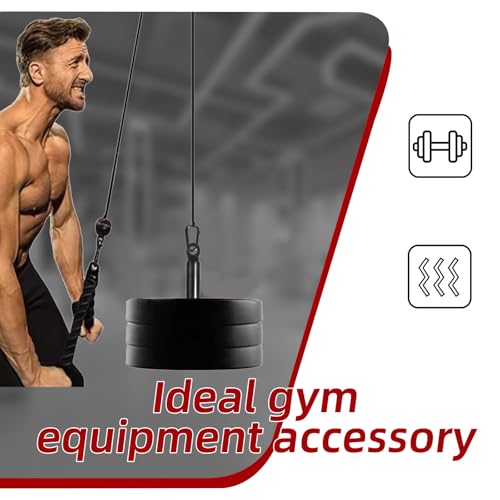Loading Pin for Weight Plates: Weight Loading Pin with Carabiner Fit 1 inch Olympic Weight Plate for Cable Pulley LAT Pulldown - color: 1in Weight Loading Pin