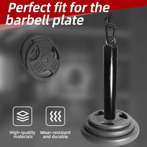 Loading Pin for Weight Plates: Weight Loading Pin with Carabiner Fit 1 inch Olympic Weight Plate for Cable Pulley LAT Pulldown - color: 2in Weight Loading Pin