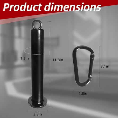 Loading Pin for Weight Plates: Weight Loading Pin with Carabiner Fit 1 inch Olympic Weight Plate for Cable Pulley LAT Pulldown - color: 2in Weight Loading Pin