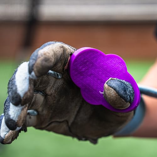 Baseball Thumb Guard, Batters Batting Grip, Finger Guard, Accessory, Batting Protection, Reduce Bat Sting, Hitter, Tool, Bat, Hitting Accessory - color: Vibrant Purple