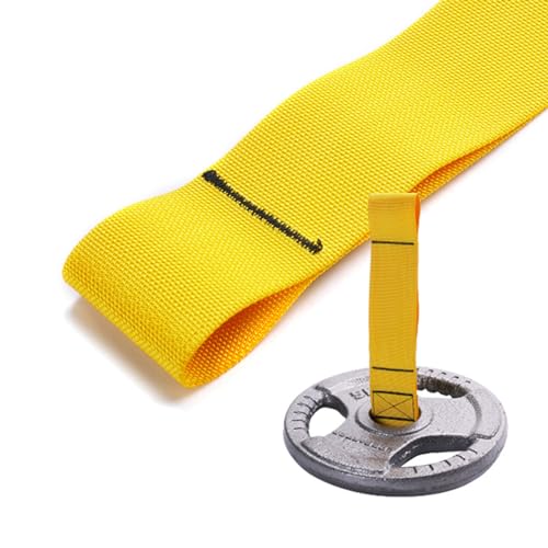 Fitness Strap Loadings Pin Arm Wrestling Training Belt Wrist Forearm Muscle Strengthener Strap Cable Machine Attachments