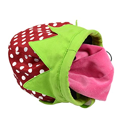 Strawberry Chalk Bag with Carabiner Drawstring for Rock Climbing Weight Lifting Rock Climbing Bag Chalkbag
