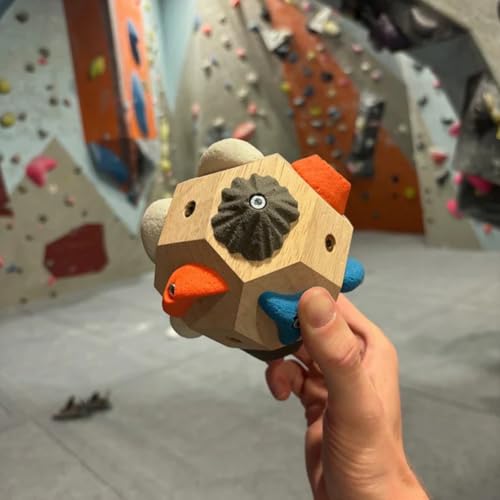 Handcrafted Boulder Rock Climbing Block, Realistic Resin Training Hold for Grip Strength and Finger Training, Indoor Outdoor Climbing Wall Accessory, Portable Home Gym Bouldering Stone for Athletes