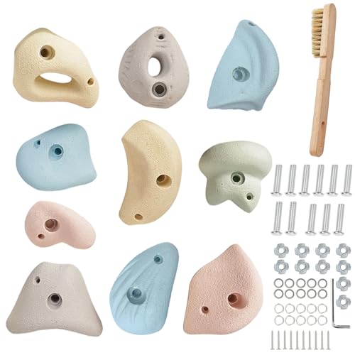 Premium Resin Rock Climbing Holds for All Ages, Large Training Rock Climbing Wall Grips Indoor/Outdoor, Rock-Like Texture Climbing Wall with Mounting Hardware - color: 10 Pcs