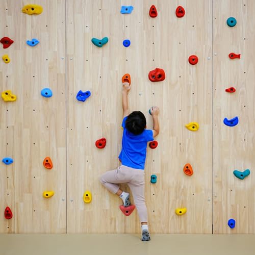 50PCS 3/8x2 inch Long Bolts for Wall Rock Climbing Holds Mounts, 3/8-16 Socket Head Allen Cap, Alloy Steel Durable & Easy Hanger Hardware Ice Screws, Gear Kit Bundle Supplies Designed for Indoor Use