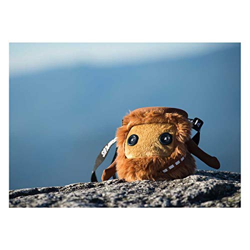 8BPLUS Chalk Bag for Rock Climbing and Bouldering, Chalk Pouch incl Belt & Biner – Cute Funny Character Design, Wide Opening, Gear with Personality, Gift for Climbers - style: BOBO