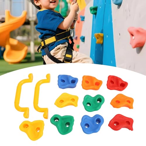 Rock Climbing Holds, Rock Wall Holds Climbing Grips Kit for Kids Indoor Outdoor, layground Play Set, Includes 2 Handles and Mounting Hardware
