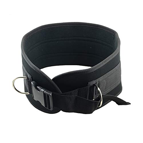 Pull-up Belt Weighted Dip Belt with Chain Double D-ring Weightlifting Back Support Strap Home Gym Equipment Waist Belt - color: with plastic buckle