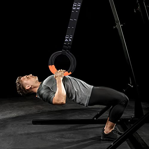Gymnastic Rings with 15 FT Adjustable Straps Non-Slip Gymnastics Rings Pull Up Workout Rings for Home Gym Exercise, Training