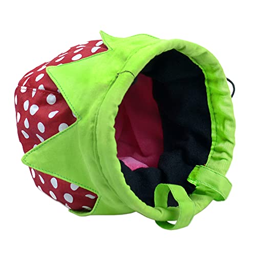 Strawberry Chalk Bag with Carabiner Drawstring for Rock Climbing Weight Lifting Rock Climbing Bag Chalkbag