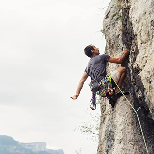 YY Vertical Rock Climbing Chalk Bags - style: Cat