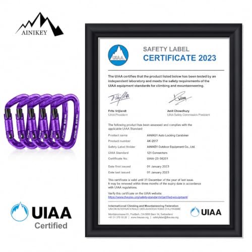 UIAA Certified Professional Heavy Duty Large Locking Carabiner Clips Climbing Carabiner 25kN Auto Locking Carabiner for Rock/Ice Climbing Rappelling Rescue Swing etc, D Shaped
