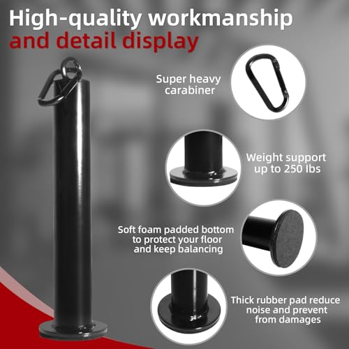 Loading Pin for Weight Plates: Weight Loading Pin with Carabiner Fit 1 inch Olympic Weight Plate for Cable Pulley LAT Pulldown - color: 2in Weight Loading Pin