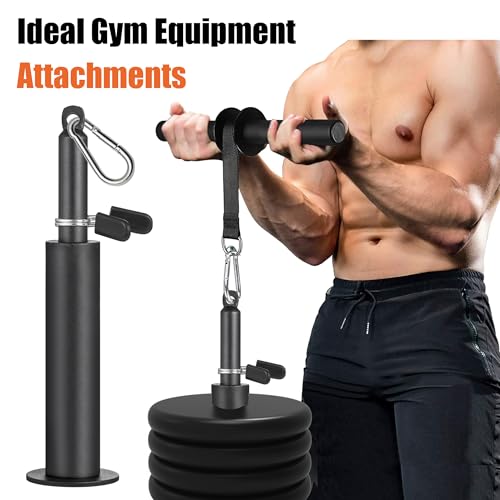 SERTT Weight Loading Pin fit 1 inch Standard and 2 inch Olympic Weight Plate, Gym Pin for Weight Stack with Heavy-Duty Carabiner, Weight Pin Attachment for Cable Pulley System LAT Pulldown - color: Black - 1 inch Standard and 2 inch Olympic Compatible