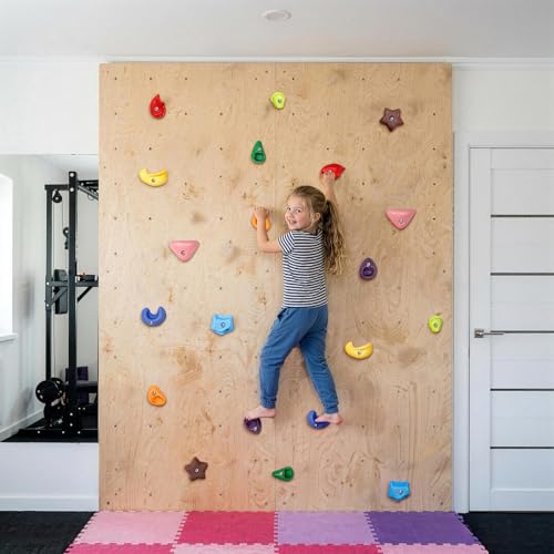 TOPNEW Climbing Holds for Kids, Rock Wall Holds with Hardware - Climbing Rocks for Indoor Outdoor Playground Climbing Wall (20 Pcs) - style: 20 Pcs