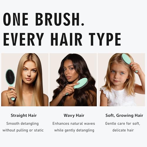 EAGLE FORTRESS Boar Bristle Hair Brush for Women, Men & Kids, Detangling Hair Brush with Polished Nylon Pins for Fine, Thin, Wet & Dry Hair, Hair Extensions, Smooth & Shine – Turquoise - color: Mint