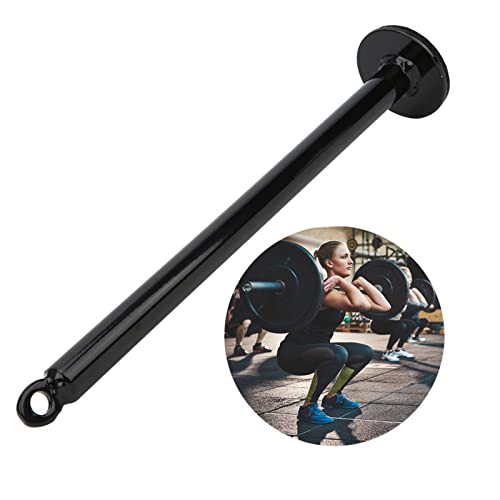 Weight pins for Weight Stack Machine, Loading pin for Weight Plates Fitness Equipment Accessory Barbell Support for Cable Pulley System (20 Diameter * 320 mm) - size: 20 diameter * 320 mm