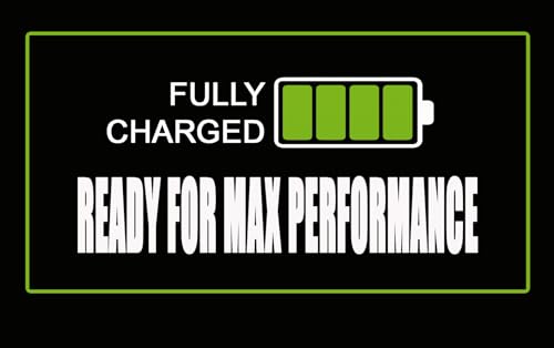 Generic Cleat Vault Fully Charged | High-Performance Sports Travel Shoe Storage Bag w/Motivation, Black - size: Large (US Shoe Size 7+), style: Fully Charged