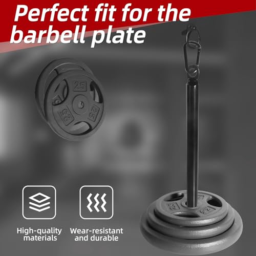 Loading Pin for Weight Plates: Weight Loading Pin with Carabiner Fit 1 inch Olympic Weight Plate for Cable Pulley LAT Pulldown - color: 1in Weight Loading Pin
