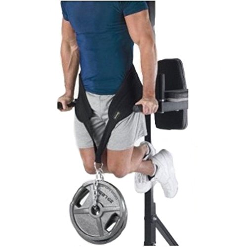 Pull-up Belt Weighted Dip Belt with Chain Double D-ring Weightlifting Back Support Strap Home Gym Equipment Waist Belt - color: Single D-ring
