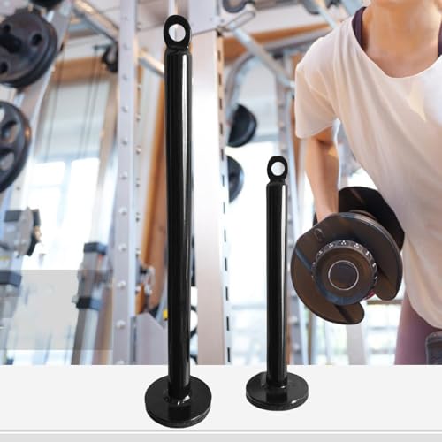 Fitness Loading Pin Cable Pulley Systems Weight Plates Barbell Plate Support Frame Freeweight Rod Loading Pin Equipment