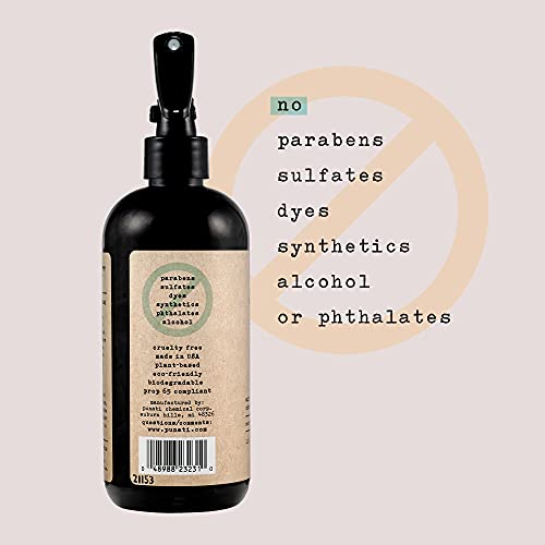 Air Essentials 12 oz Air Freshener & Odor Eliminator Spray - Neutralize Odors from Smoke, Pets, Food & Garbage in Homes, Offices & Cars - Made with Clean Essential Oils (Eucalyptus Mint, 2-Pack)