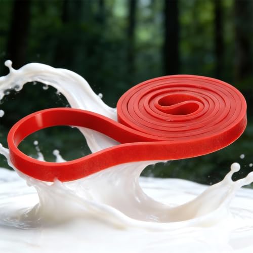 Resistance Bands Pull Up Assist Bands Workout Equipment Band Exercise Band Long Resistance BandSet for Working Out Stretching Fitness Training Physical Therapy for Men Women Gym Home
