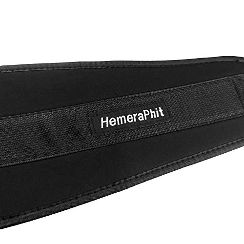 Pull-up Belt Weighted Dip Belt with Chain Double D-ring Weightlifting Back Support Strap Home Gym Equipment Waist Belt - color: Double D-ring