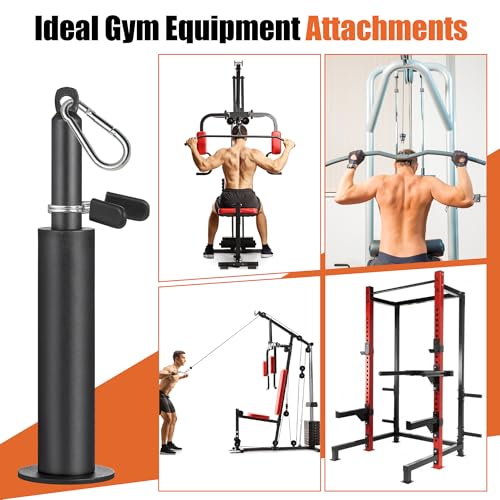 SERTT Weight Loading Pin fit 1 inch Standard and 2 inch Olympic Weight Plate, Gym Pin for Weight Stack with Heavy-Duty Carabiner, Weight Pin Attachment for Cable Pulley System LAT Pulldown - color: Black - 1 inch Standard and 2 inch Olympic Compatible