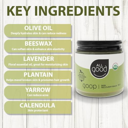 All Good Goop Organic Skin Care Recovery Balm - All Purpose Ointment w/Calendula, Lavender, Beeswax - Chafing Cream, Dry Skin Salve, Cracking Lip Moisturizer - Soothes, Hydrates & Calms - 4oz, 2-pack - size: 4 Ounce (Pack of 2)