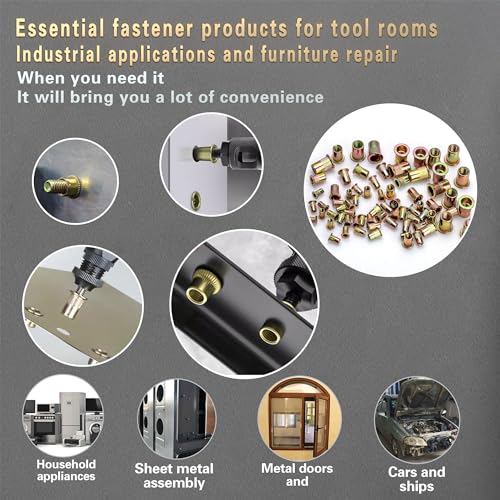 ASKWAY Pressure Rivet Nut Tool Kit, 750PCS Metric Rivet Nut Combination | Metric Carbon Steel Rivet Nut (M12/M10/M8/M6/M5/M4/M3)Rivet Nut Installation Tool Included - color: 750PCS Carbon Steel