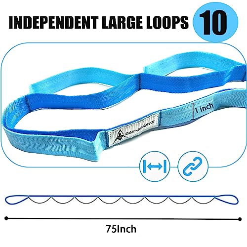 Stretching Strap Yoga Strap with Loops, Stretch Straps for Physical Therapy, Non-Elastic Exercise Strap for Pilates, Dance and Gymnastics with Workout Guide - color: Black+Blue/Light Blue