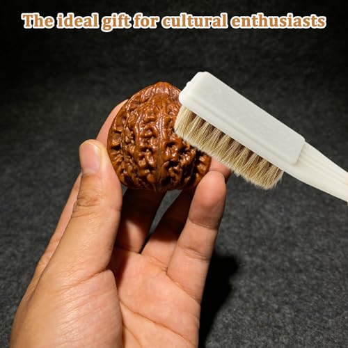 BLMHTWO 2PCS Climbing Brush, Sturdy Rock Climbing Brush with Thick Ultra Durable Boar's Hair Bristles Bouldering Brushes Climbing Chalk Brushes for Indoor Rock Outdoor Mountain