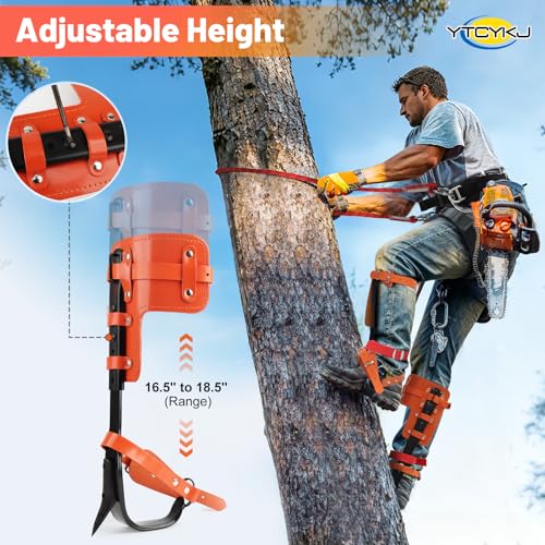 Professional Tree Climbing Spikes Set – Height-Adjustable Climbing Spurs | 350lb Load Rating Tree Climbing Gear, Includes Rope & Straps for Arborists, Hunters, Fruit Harvesting
