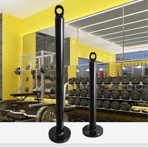 Fitness Loading Pin Cable Pulley Systems Weight Plates Barbell Plate Support Frame Freeweight Rod Loading Pin Equipment