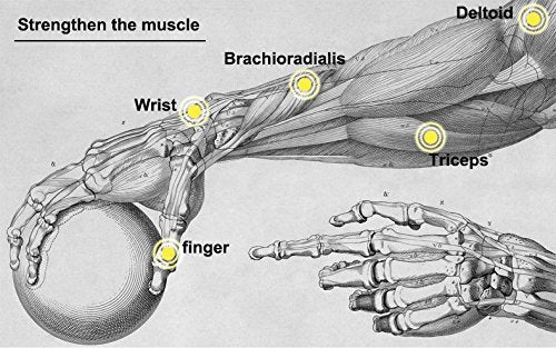 Power Wrist Ball AUTO Start Gyro Ball with LED Lights Forearm Exerciser Wrist Strengthener for Strengthening Muscle and Bones - color: Blue and White(Blue glow)