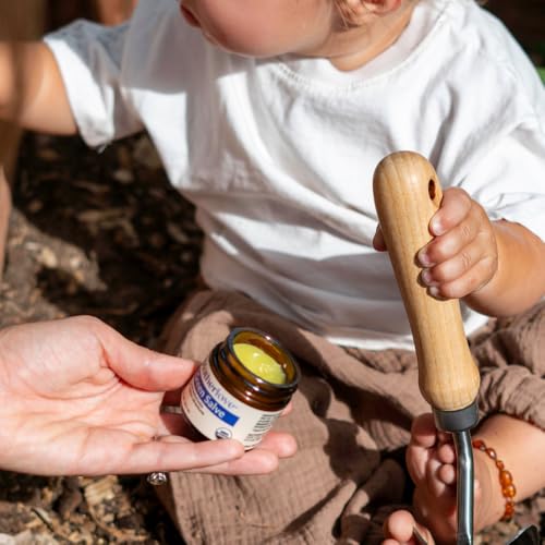 Motherlove Green Salve (1 oz) | Family-Friendly Outdoor Adventure Ointment to Soothe Skin -- USDA Organic