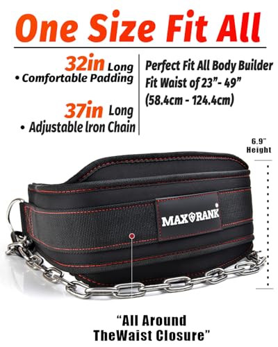 Dip belt With 37-40" Chain, 550lbs - 650lbs Weight Capacity, Weightlifting Belt for Dips and Pullups
