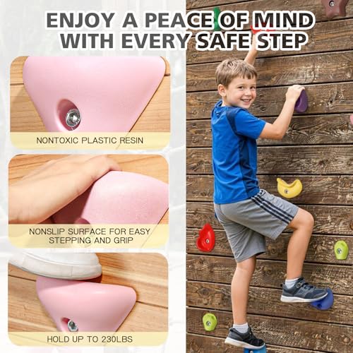 TOPNEW Climbing Holds for Kids, Rock Wall Holds with Hardware - Climbing Rocks for Indoor Outdoor Playground Climbing Wall (20 Pcs) - style: 20 Pcs